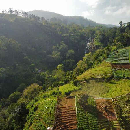 إيلا Blue Heaven Cottage المظهر الخارجي الصورة
