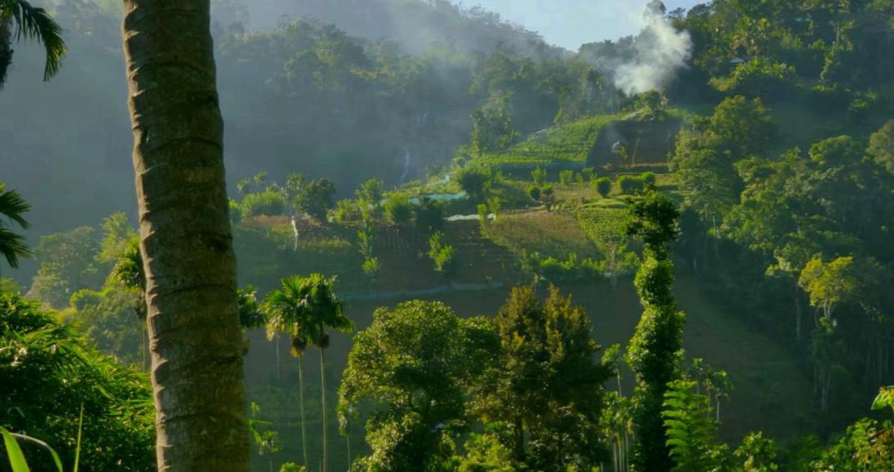 إيلا Blue Heaven Cottage المظهر الخارجي الصورة
